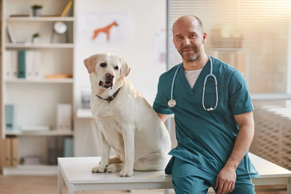 Veterinary Marketing