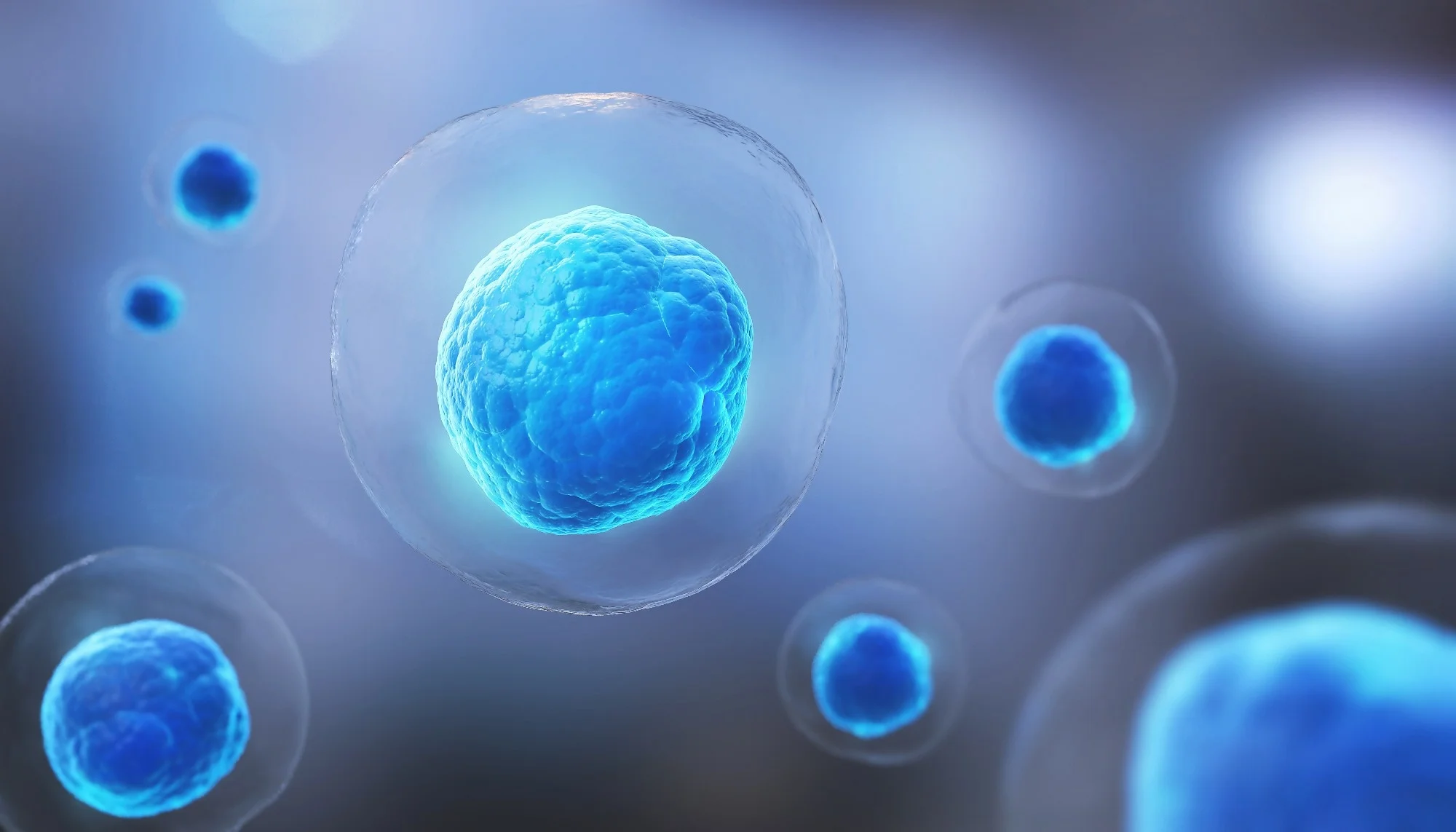 how much does stem cell therapy cost
